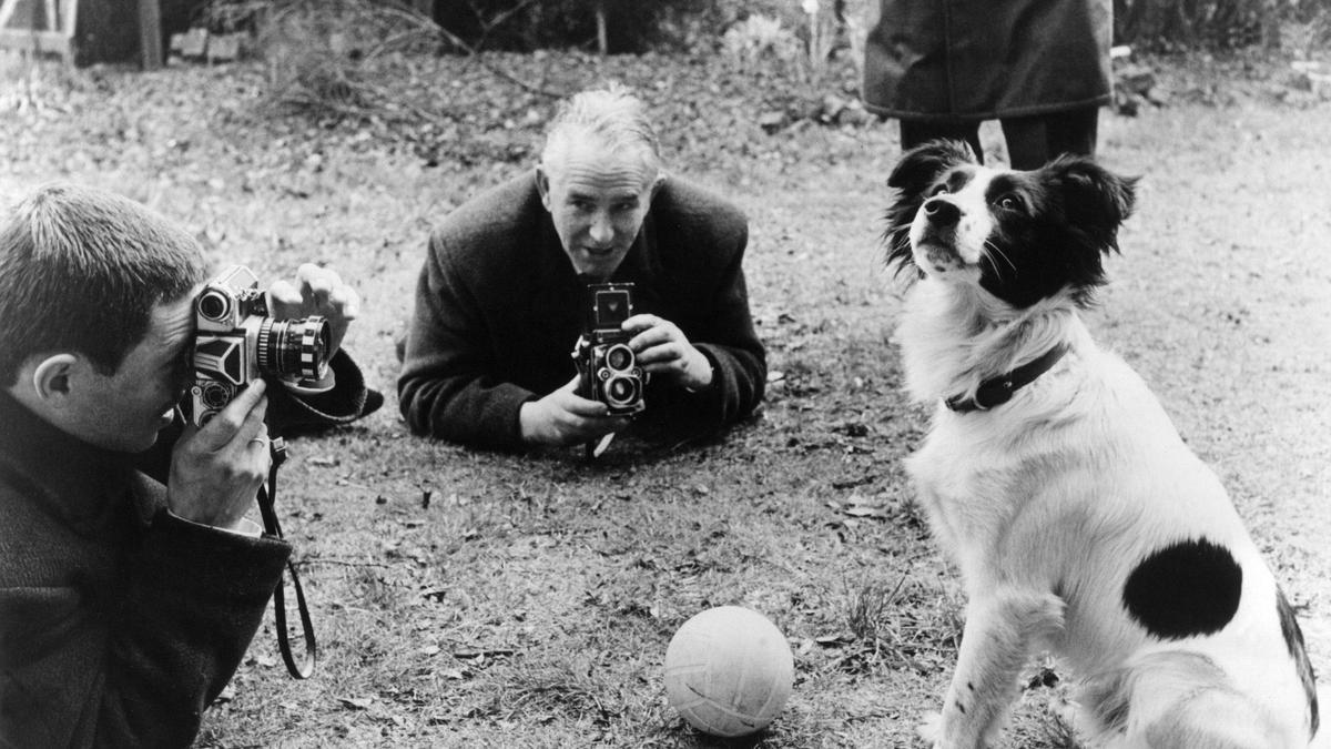 Pickles, un perro convertido en héroe del Mundial (1966) - Levante-EMV